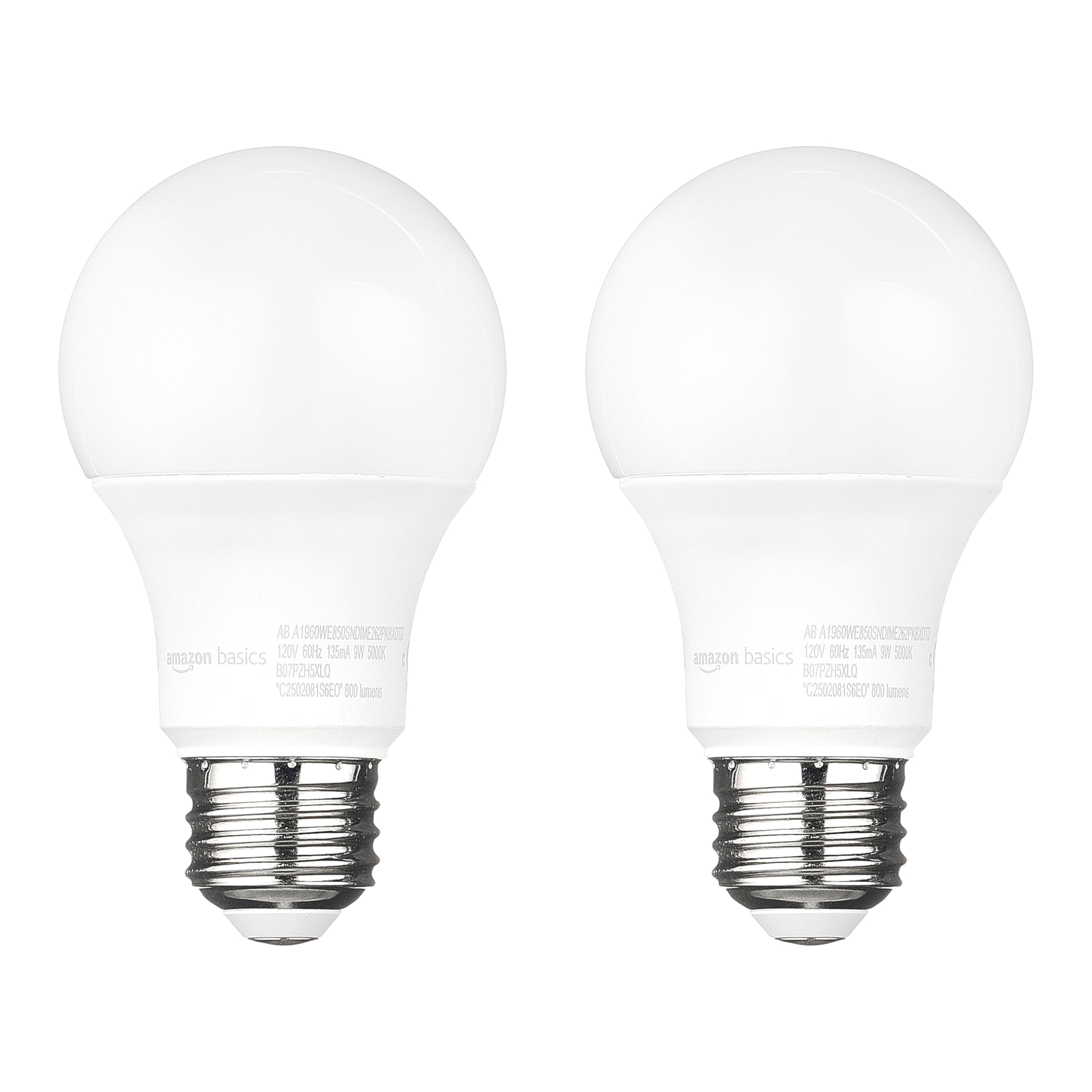 2-Count-Pack-of-1-60-Watt-Daylight-01.jpg